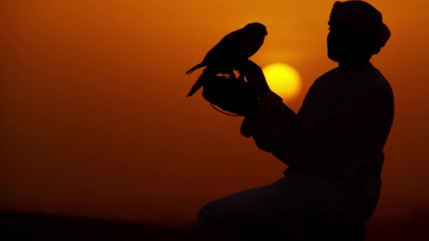Человек с хищной птицей на песках пустыни — стоковое видео