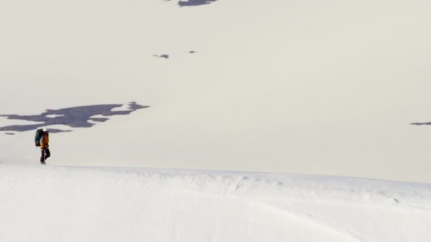 Альпіністів на Алясці — стокове відео