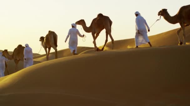 Proprietários de camelos no comboio do deserto — Vídeo de Stock