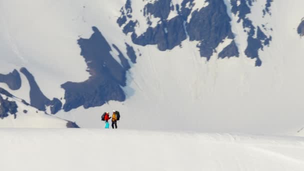 Bergbeklimmers op een sneeuw overdekte berg — Stockvideo