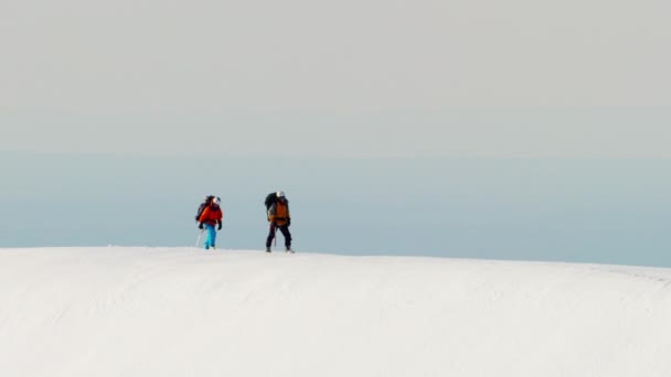 Альпіністи на засніженій горі — стокове відео