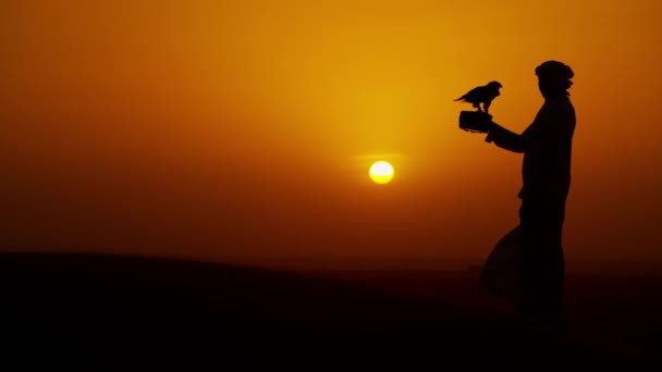 Man with bird of prey on desert sands — Stock Video