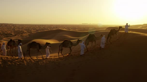 Arabských mužů vedoucí velbloudy přes poušť — Stock video