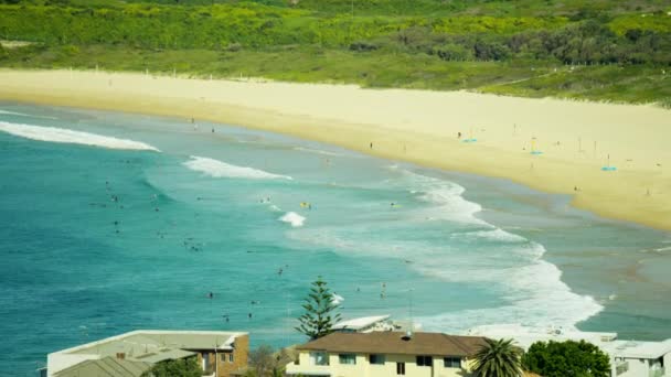 Kıyı şeridi Bondi Beach, Sydney — Stok video