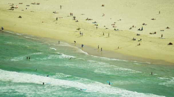 Sörfçü Sydney Bondi Beach, — Stok video