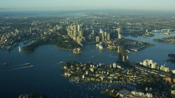 Bâtiments de la ville dans le centre de Sydney — Video