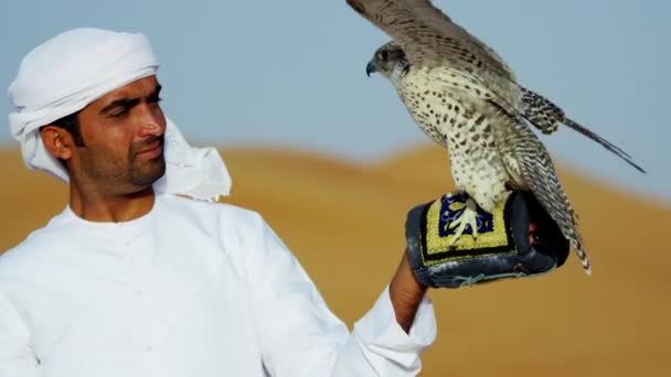 Arab wearing dishdasha with trained falcon — Stock Video