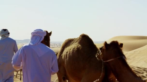 Propietarios de camellos en convoy desierto — Vídeo de stock