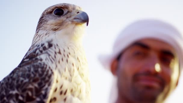 Man with bird of prey standing on desert sands — Stock Video