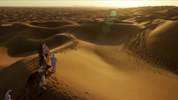 Camel train travelling across desert — Stock Video