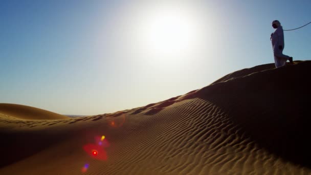Hommes bédouins conduisant des chameaux à travers le désert — Video