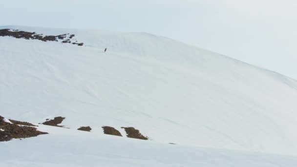 Escaladores en montañas cubiertas de nieve — Vídeos de Stock