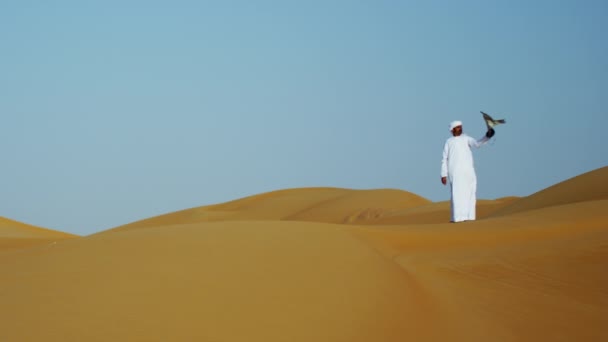 Falconer in desert with bird of prey — Stock Video