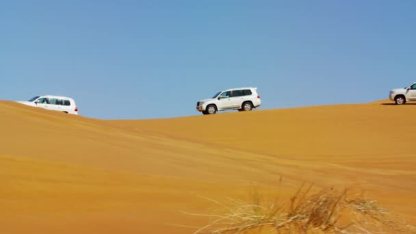 Pustynia, pojazdy dune bashing — Wideo stockowe