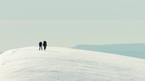 Bergbeklimmers op een sneeuw overdekte berg — Stockvideo