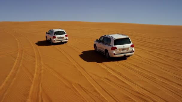 沙漠野生动物园车辆沙丘抨击 — 图库视频影像