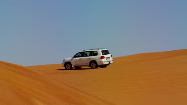 Yol çöl Safari, Dubai — Stok video