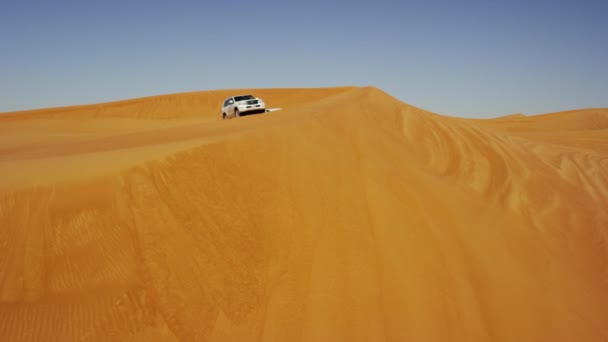 Off Road járművek a sivatagi szafari — Stock videók