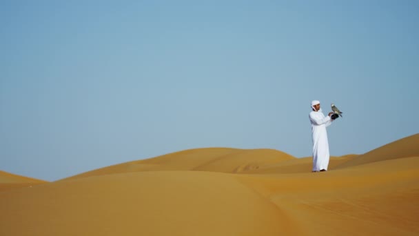 Arab wearing dishdasha with trained falcon — Stock Video
