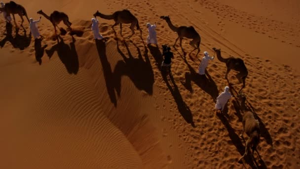 Comboio de camelo que atravessa o deserto — Vídeo de Stock