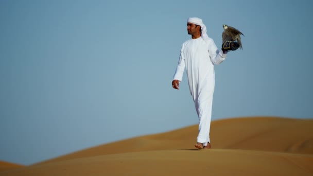 Falconer in woestijn met roofvogels — Stockvideo