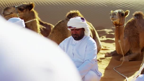 Comboio de camelos que viajam pelo deserto — Vídeo de Stock