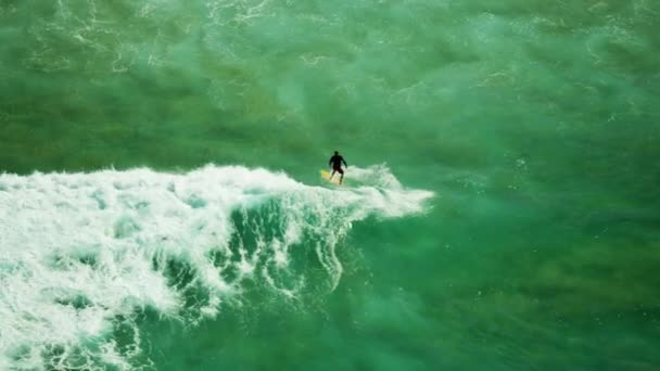 Surfer na plaży Bondi w Sydney — Wideo stockowe