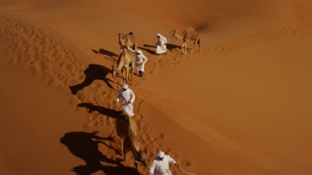 Propietarios de camellos en convoy desierto — Vídeos de Stock