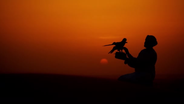 Man with bird of prey on desert sands — Stock Video