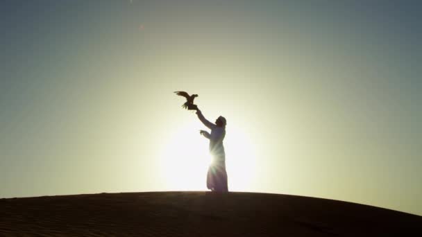 Man with bird of prey on desert sands — Stock Video