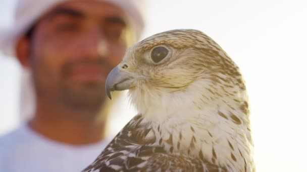 砂漠の砂の上に獲物の鳥立ってを持つ男 — ストック動画