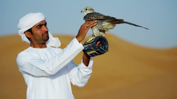 Araber trägt Dischdascha mit trainiertem Falken — Stockvideo