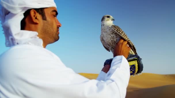 Arab wearing dishdasha with trained falcon — Stock Video