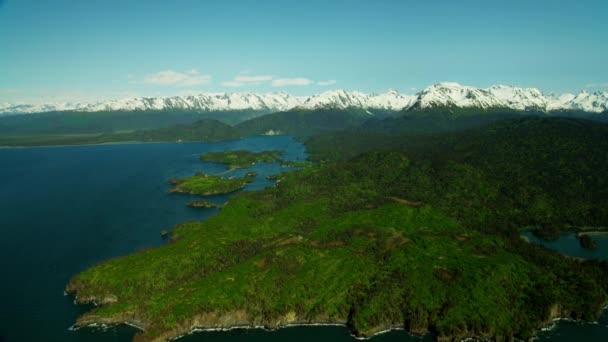 Barren wilderness of Kachemak Bay — Stock Video