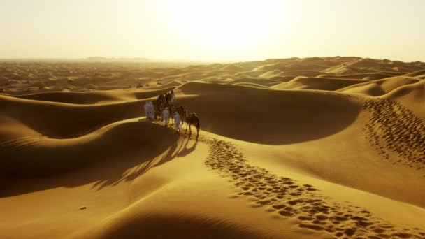 Hombres árabes guiando camellos por el desierto — Vídeo de stock