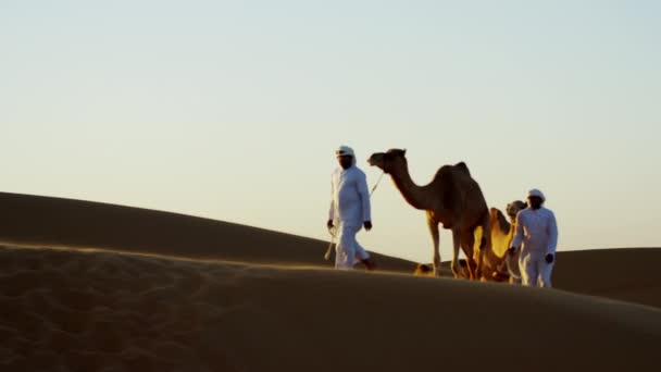 Tren camello viajando a través del desierto — Vídeo de stock