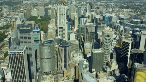 Città Grattacieli di Sydney — Video Stock