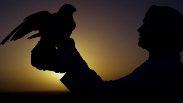 Uomo con rapace su sabbie desertiche — Video Stock