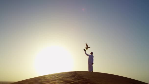 Людина з птахом здобичі на пустельних пісках — стокове відео