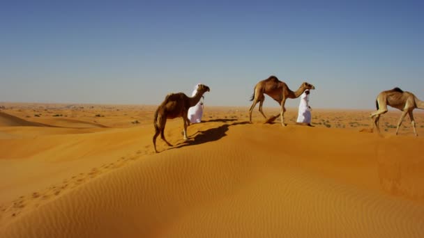 Kamelbesitzer im Wüstenkonvoi — Stockvideo