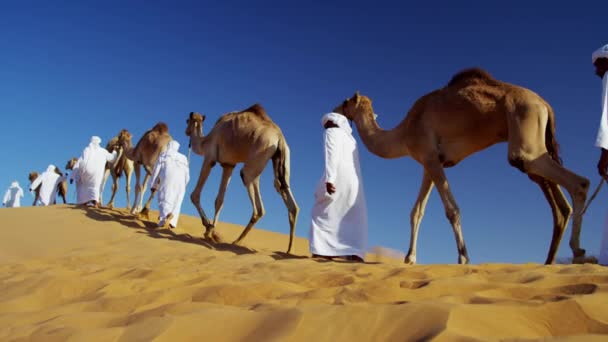 Proprietari di cammelli nel convoglio del deserto — Video Stock