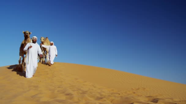 Kameel caravan op reis in de woestijn — Stockvideo