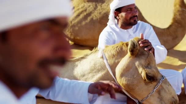 Comboio de camelos que viajam pelo deserto — Vídeo de Stock