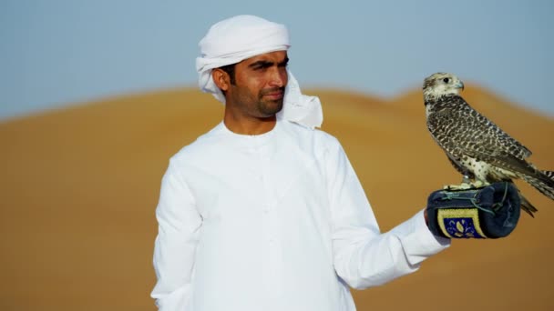 Uomo con rapace in piedi su sabbie desertiche — Video Stock