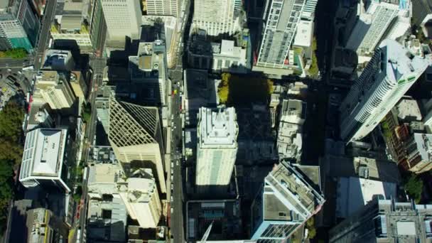 在悉尼市中心的摩天大楼 — 图库视频影像
