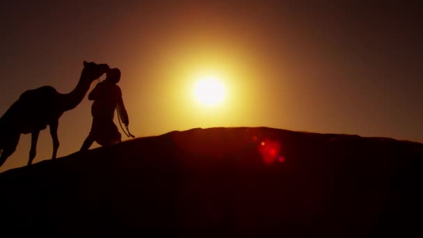 Camello caravana viajando a través del desierto — Vídeo de stock