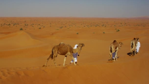 Camel train travelling across desert — Stock Video
