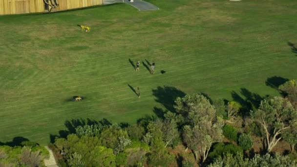 Mensen genieten van het park op Bondi Bay — Stockvideo