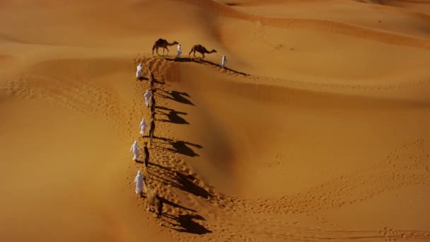 Comboio de camelo que atravessa o deserto — Vídeo de Stock