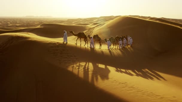 Camel owners in desert convoy — Stock Video